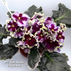 РС-Дон-Жуан (Репкина)  